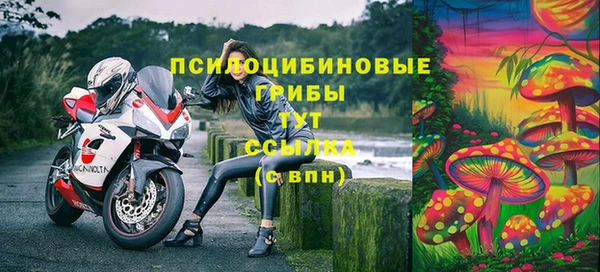 соль курить ск Касимов