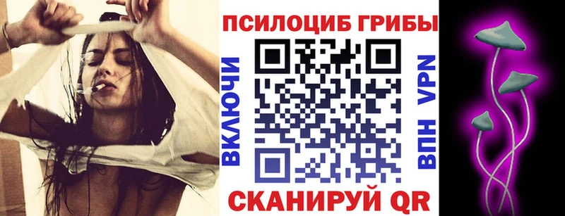 Купить где  Тихвин  Галлюциногенные грибы MAGIC MUSHROOMS 